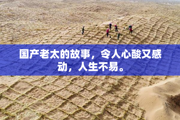 国产老太的故事，令人心酸又感动，人生不易。