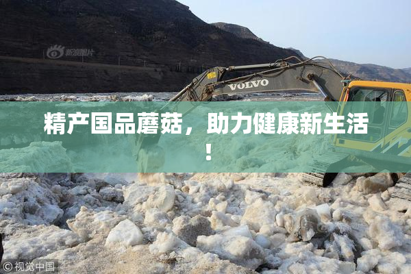 精产国品蘑菇，助力健康新生活！