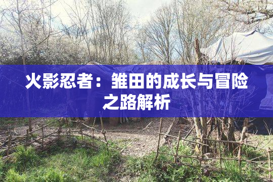 火影忍者：雏田的成长与冒险之路解析