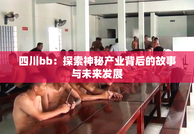 四川bb：探索神秘产业背后的故事与未来发展