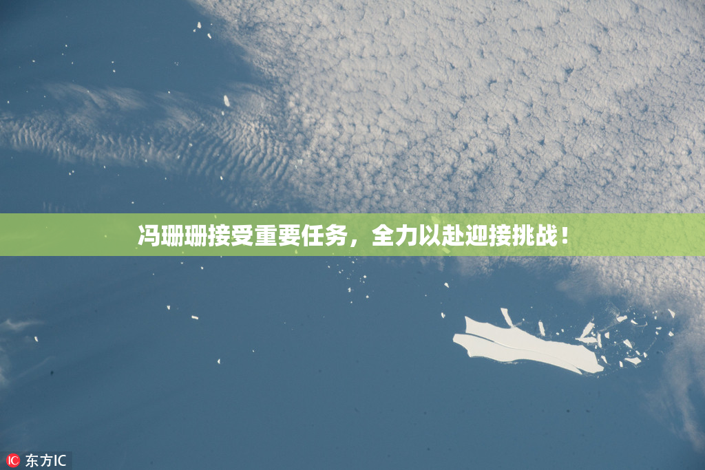 冯珊珊接受重要任务，全力以赴迎接挑战！