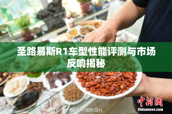 圣路易斯R1车型性能评测与市场反响揭秘