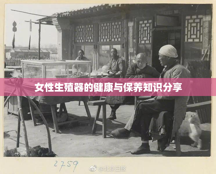女性生殖器的健康与保养知识分享