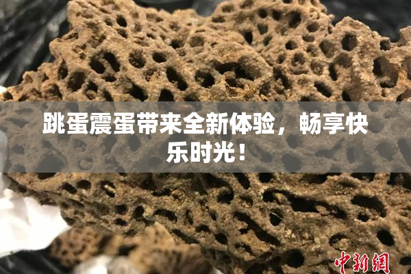 跳蛋震蛋带来全新体验，畅享快乐时光！