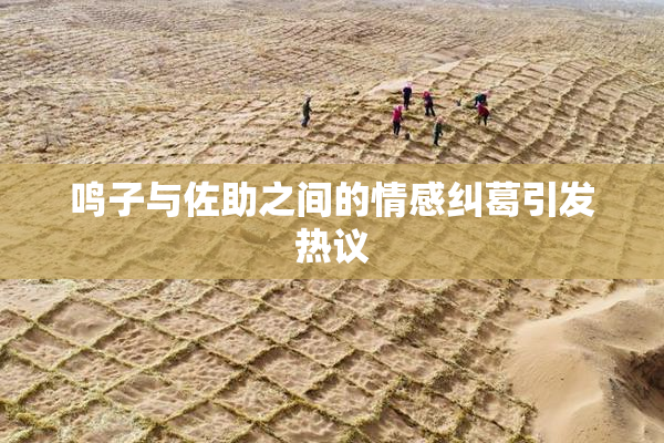 鸣子与佐助之间的情感纠葛引发热议
