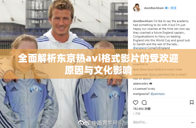 全面解析东京热avi格式影片的受欢迎原因与文化影响