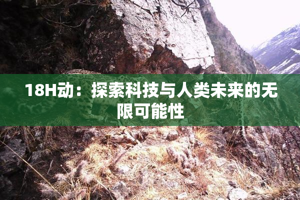 18H动：探索科技与人类未来的无限可能性