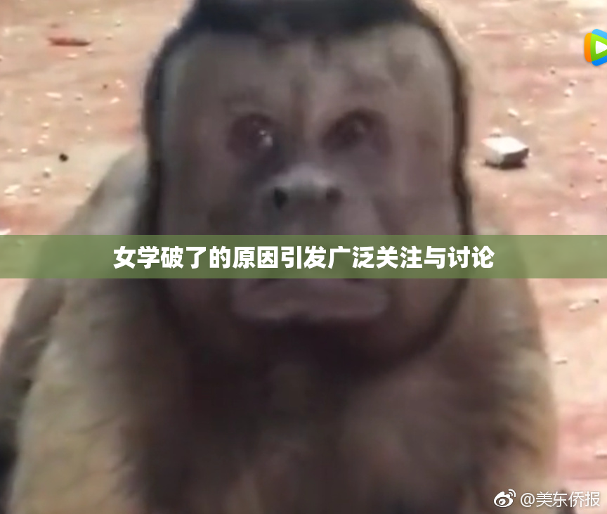 女学破了的原因引发广泛关注与讨论