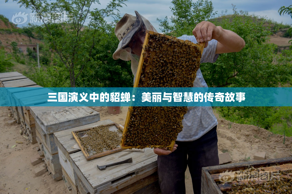 三国演义中的貂蝉：美丽与智慧的传奇故事