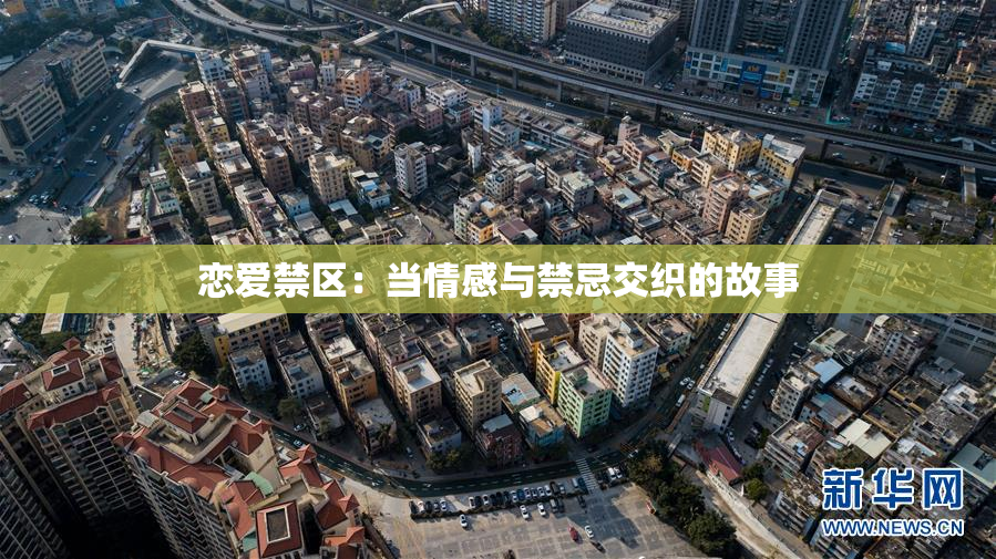 恋爱禁区：当情感与禁忌交织的故事