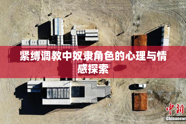 紧缚调教中奴隶角色的心理与情感探索