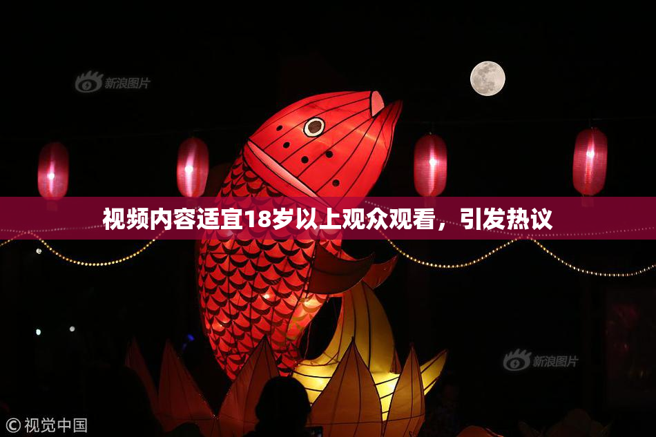 视频内容适宜18岁以上观众观看，引发热议