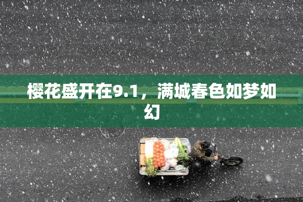 樱花盛开在9.1，满城春色如梦如幻