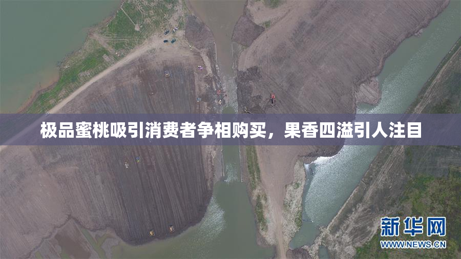 极品蜜桃吸引消费者争相购买，果香四溢引人注目