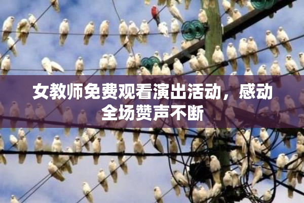 女教师免费观看演出活动，感动全场赞声不断