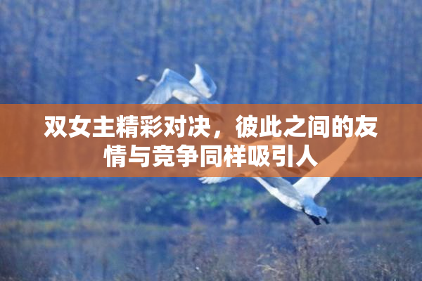 双女主精彩对决，彼此之间的友情与竞争同样吸引人
