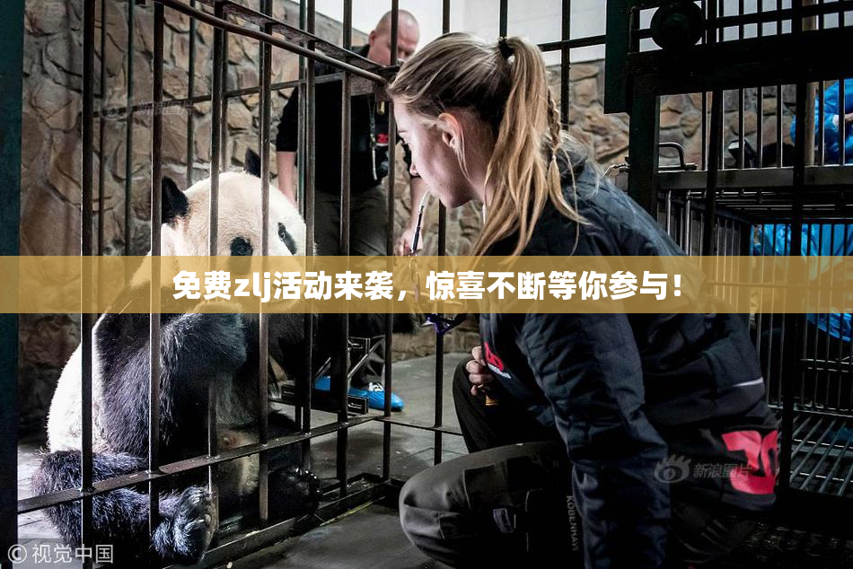 免费zlj活动来袭，惊喜不断等你参与！