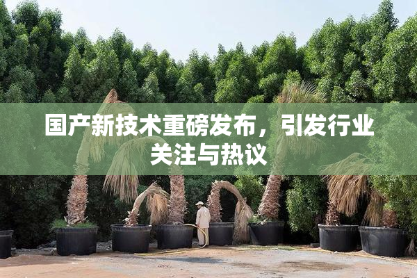 国产新技术重磅发布，引发行业关注与热议