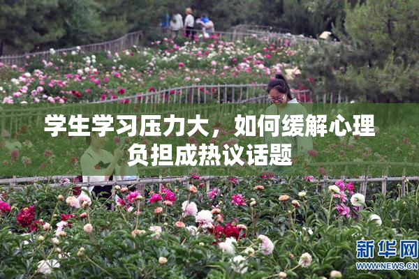 学生学习压力大，如何缓解心理负担成热议话题