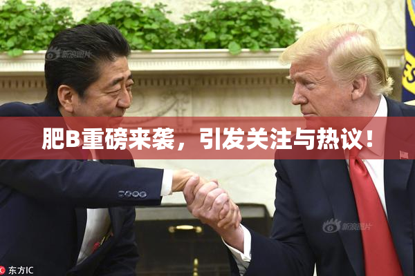 肥B重磅来袭，引发关注与热议！
