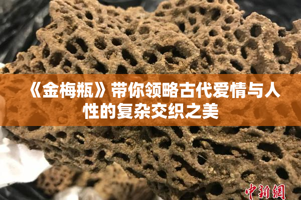 《金梅瓶》带你领略古代爱情与人性的复杂交织之美