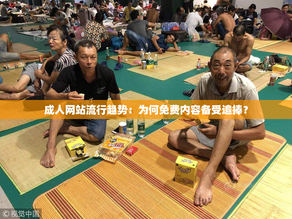 成人网站流行趋势：为何免费内容备受追捧？