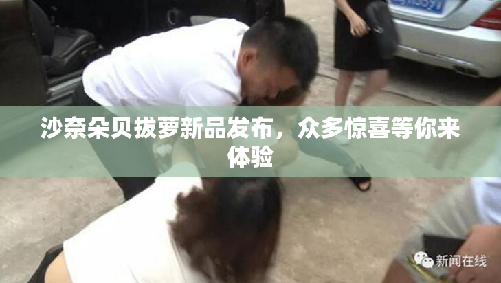 沙奈朵贝拔萝新品发布，众多惊喜等你来体验