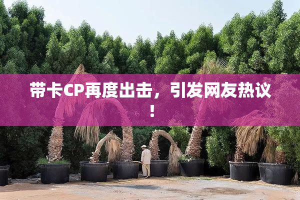 带卡CP再度出击，引发网友热议！