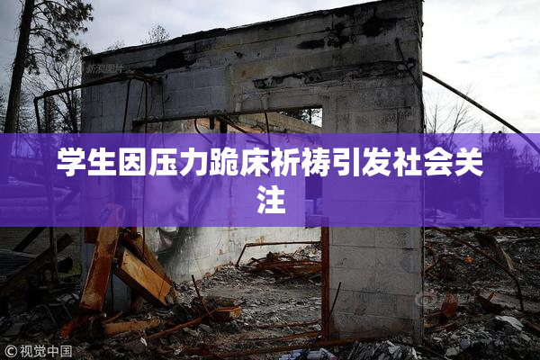 学生因压力跪床祈祷引发社会关注