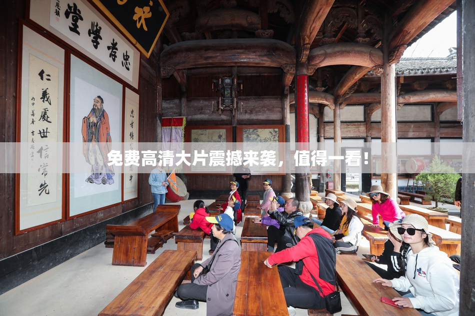 免费高清大片震撼来袭，值得一看！