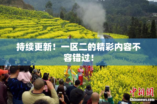 持续更新！一区二的精彩内容不容错过！