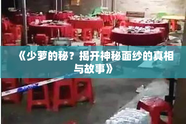 《少萝的秘？揭开神秘面纱的真相与故事》