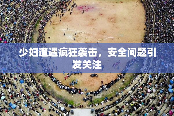少妇遭遇疯狂袭击，安全问题引发关注