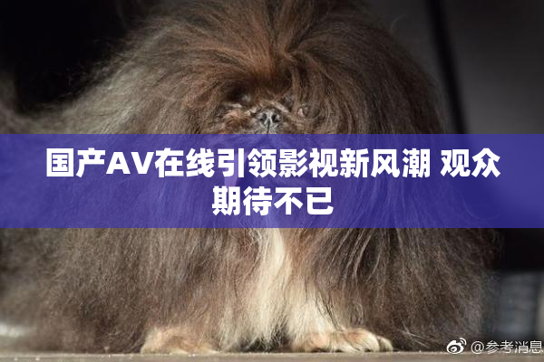 国产AV在线引领影视新风潮 观众期待不已