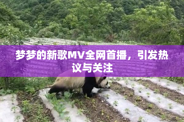 梦梦的新歌MV全网首播，引发热议与关注