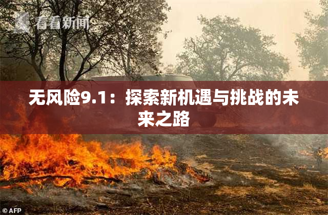 无风险9.1：探索新机遇与挑战的未来之路