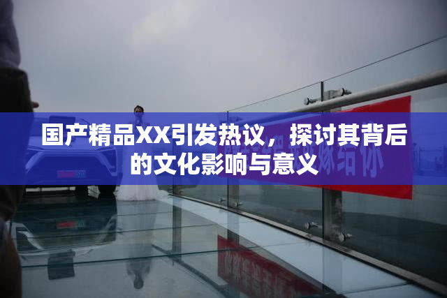 国产精品XX引发热议，探讨其背后的文化影响与意义
