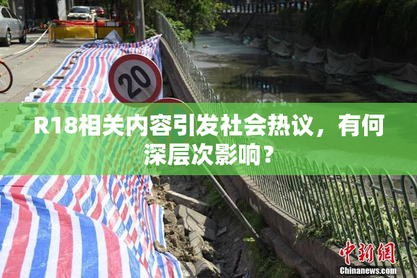 R18相关内容引发社会热议，有何深层次影响？