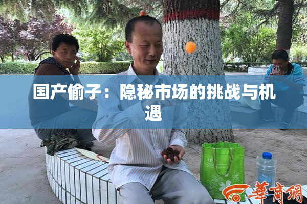 国产偷子：隐秘市场的挑战与机遇
