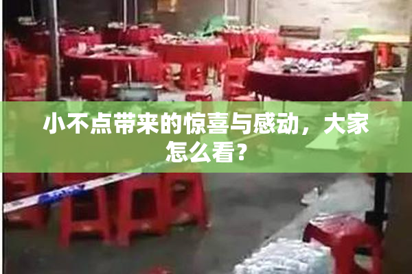 小不点带来的惊喜与感动，大家怎么看？