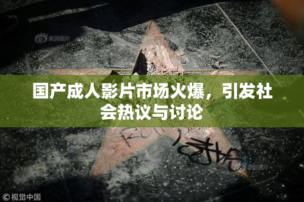 国产成人影片市场火爆，引发社会热议与讨论