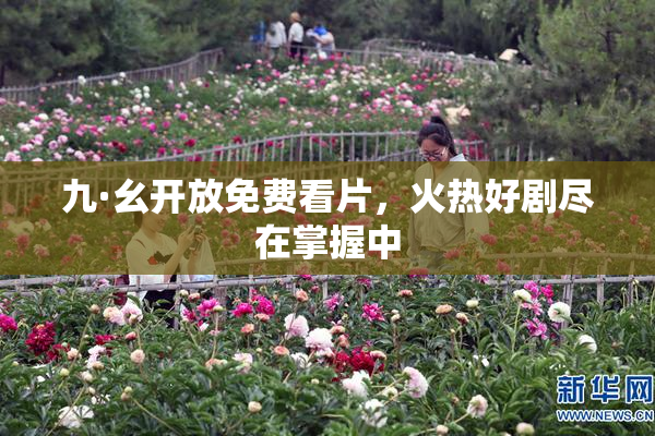 九·幺开放免费看片，火热好剧尽在掌握中