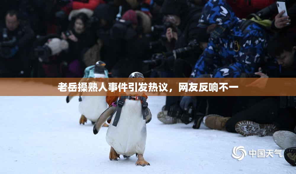 老岳搡熟人事件引发热议，网友反响不一