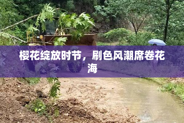 樱花绽放时节，刷色风潮席卷花海