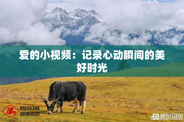 爱的小视频：记录心动瞬间的美好时光