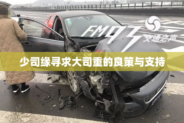 少司缘寻求大司重的良策与支持