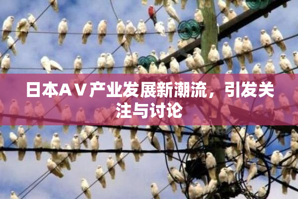 日本AⅤ产业发展新潮流，引发关注与讨论