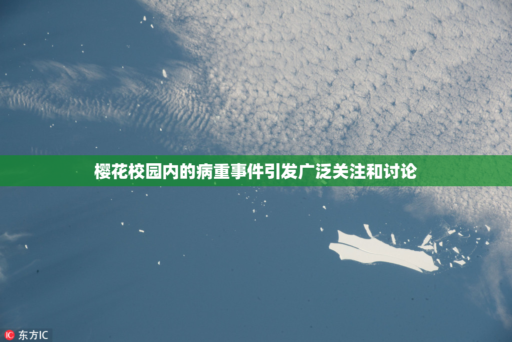 樱花校园内的病重事件引发广泛关注和讨论
