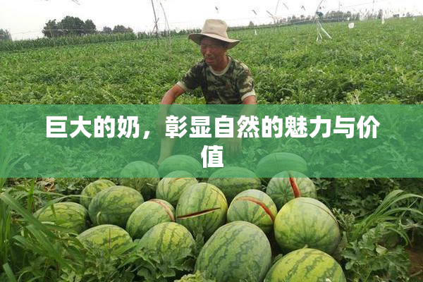 巨大的奶，彰显自然的魅力与价值