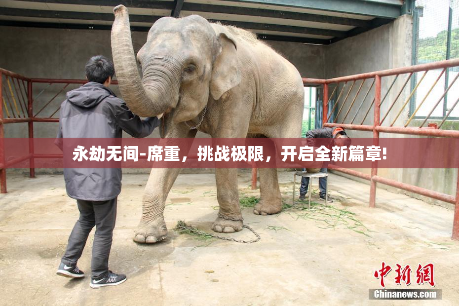 永劫无间-席重，挑战极限，开启全新篇章!